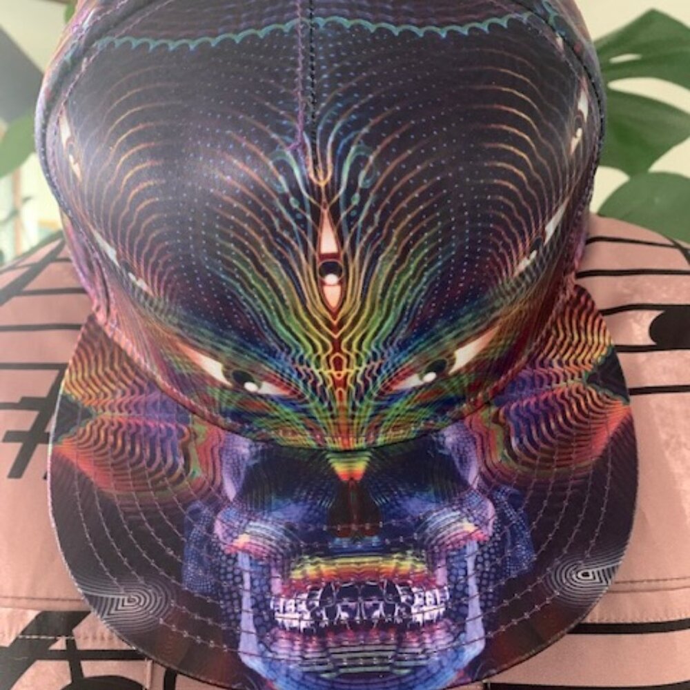 NEW_Luke Brown_Alternative Intelligence RARE Limited Edition Fitted Hat 7 7/8